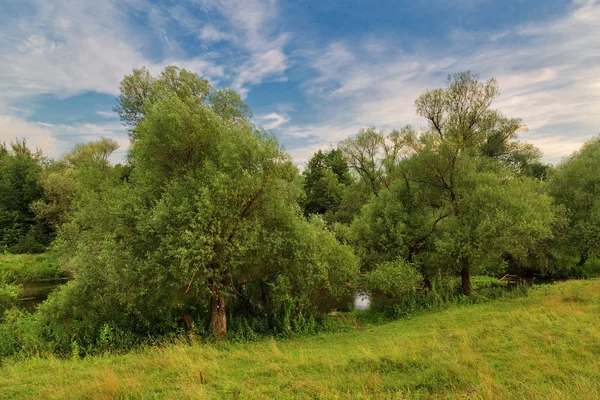 Campo verde com rio — Fotografia de Stock