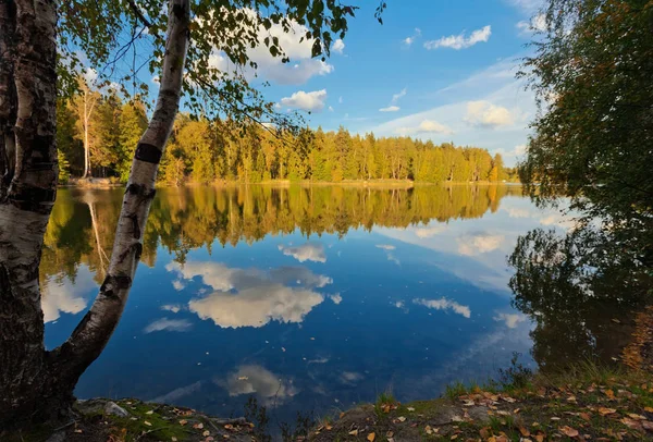 Lago otoñal cerca del bosque — Foto de Stock