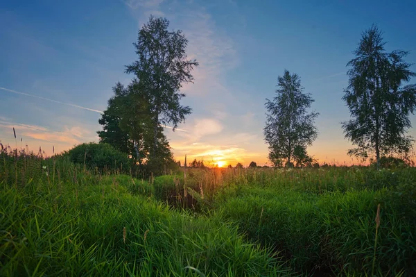 Západ slunce v létě pole — Stock fotografie