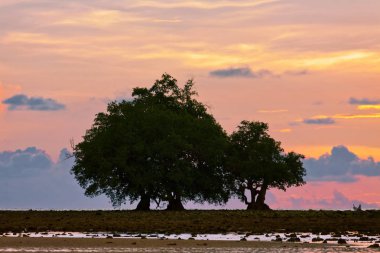 taşlar plaj gün batımı ışık