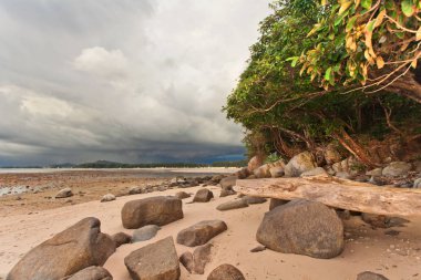 karanlık gökyüzü altında tropik sahil