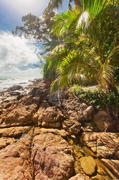 Rocce spiaggia tropicale — Foto Stock