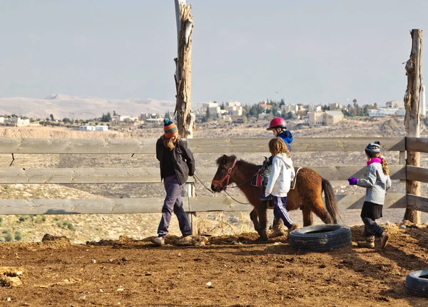 Children are taught to ride horses on a farm in the village of T — Stock Photo, Image