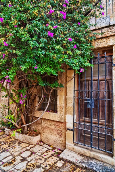 Vieille porte en bois dans un mur de pierre — Photo