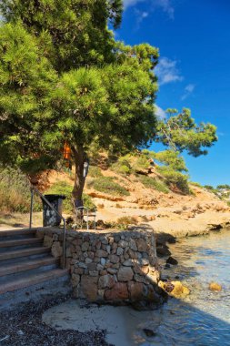 Güzel defne plaj turkuaz deniz suyu. Mallorca Adası