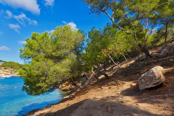 Mooie baai strand turquoise zeewater. Mallorca eiland — Stockfoto