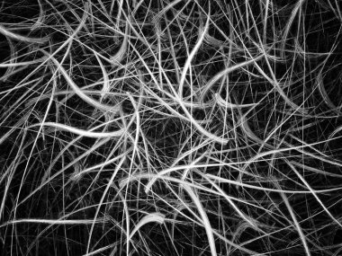 soyut fraktal arkaplan