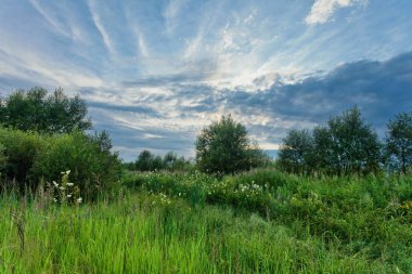 Yaz alan kasvetli gökyüzü altında