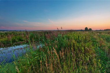 Yaz günbatımında alan ve nehir