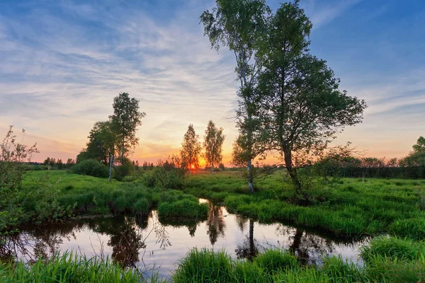 Летний закат вокруг поля и реки — стоковое фото