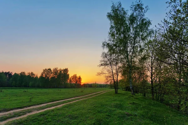 Vägen i solnedgången fältet — Stockfoto