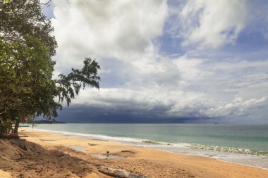 Egzotik tropikal plaj.