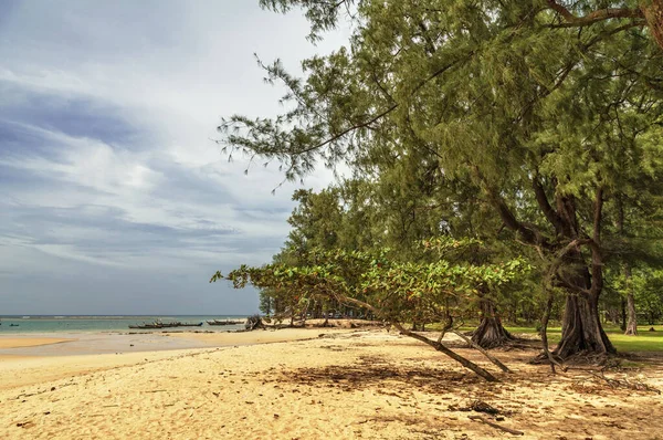 Egzotyczna plaża tropikalna. — Zdjęcie stockowe