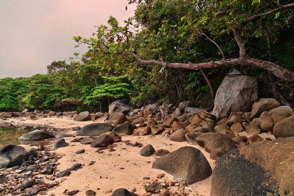 Tropiska stranden i solnedgången — Stockfoto