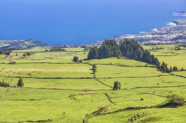 Dağlarda, vadilerde, Sao Miguel adasının deniz kıyısında