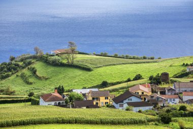 Tarlaları olan taze yeşil doğa manzarası, otlakların yakınındaki çayırlar ve...