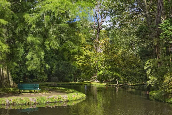 Jardim Botânico Terra Nostra em Furnas, Ilha de São Miguel, Porto — Fotografia de Stock