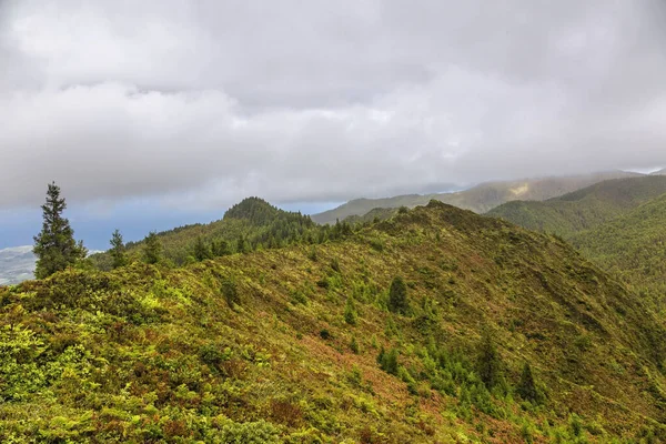 Foggy green landscape of Sao Miguel Island, Portugal — Stock Photo, Image