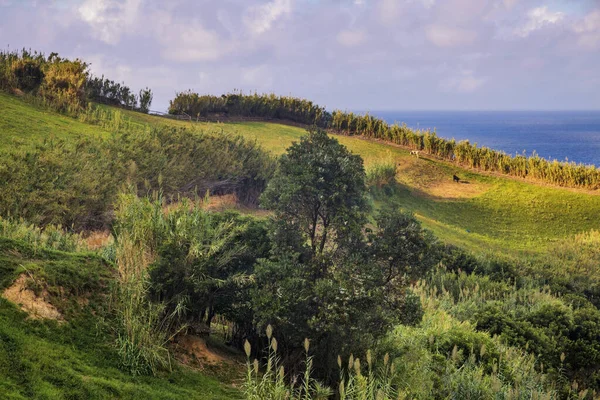 Iew em montanhas, vales, costa marítima da ilha de São Miguel — Fotografia de Stock