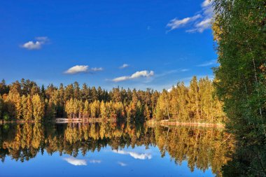 Sonbaharda orman gölü yansıması 