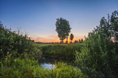 alandaki küçük nehir