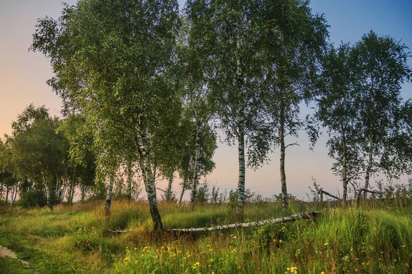 Puesta de sol en el campo de verano —  Fotos de Stock