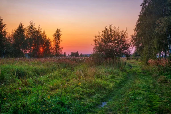 Puesta de sol en el campo de verano — Foto de Stock