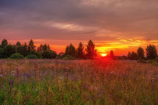 Zonsondergang in de zomer veld — Stockfoto