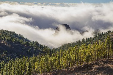 Bulutlar ve sis kaplı dağları ile manzara 