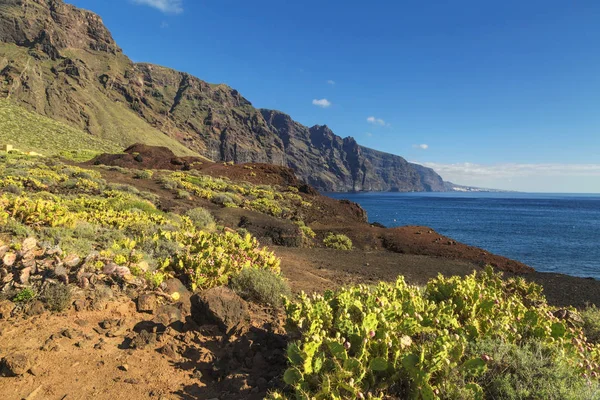 Mountains and sea near Punto Teno Lighthouse in north-west coast — 스톡 사진