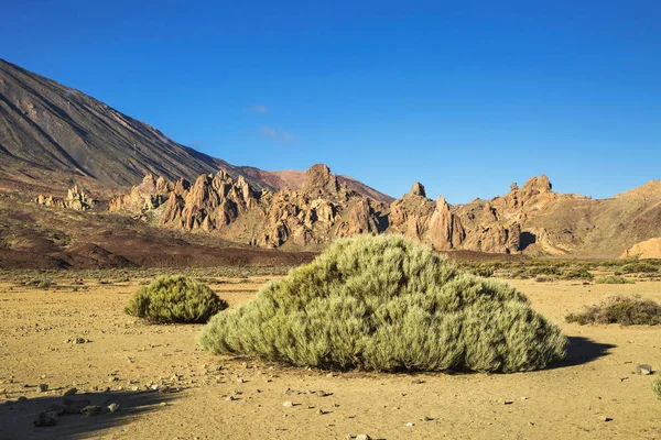 Landscape of El Teide National Park — Stock Photo, Image