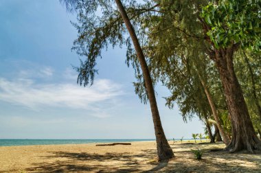 Egzotik tropikal plaj.