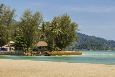 Egzotik tropikal plaj.