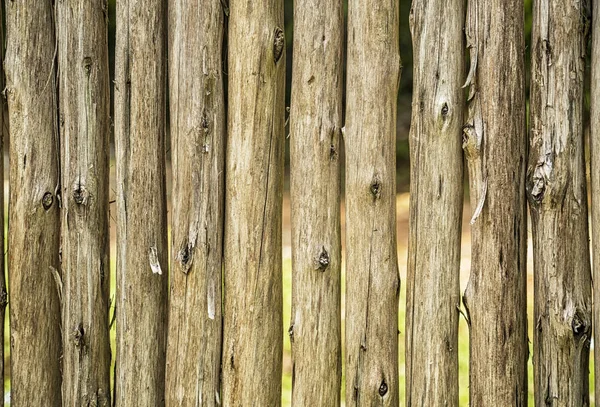 Old grunge fence of wood trunks — Stock Photo, Image
