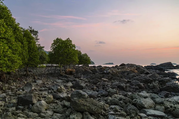 Sombere tropische zonsondergang — Stockfoto