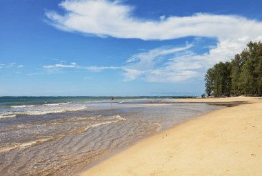 Deniz manzaralı, temiz su ve mavi gökyüzü ile güzel tropikal plaj. Nai Yang beach. Phuket. Tayland