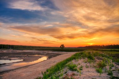 Yaz tarlasında Coloful günbatımı manzarası 