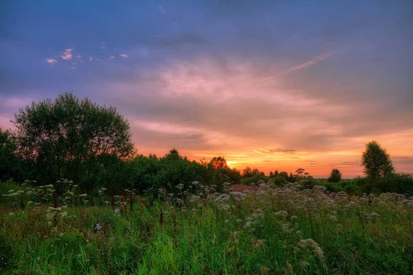 Landschap Met Kleurrijke Zonsondergang Het Zomerveld — Stockfoto