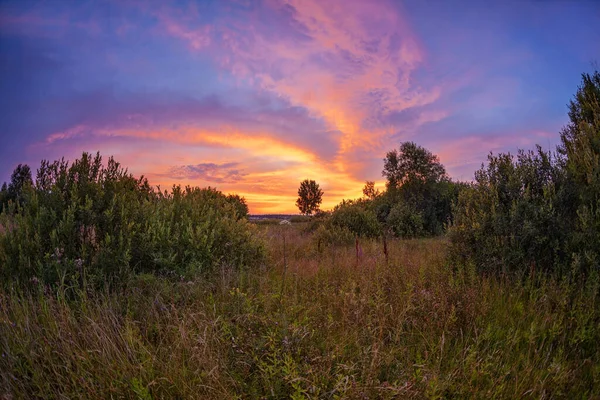 Landskap Med Coloful Solnedgång Sommarfält — Stockfoto