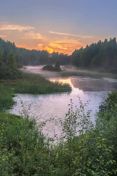 Beautiful Summer Fall Landscape Foggy Misty Lake — Stock Photo, Image