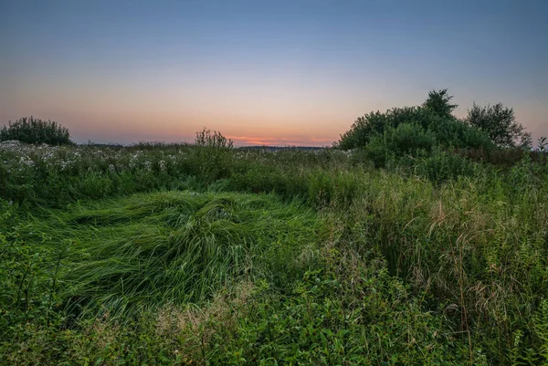 Landscape Coloful Sunset Summer Field — Stock Photo, Image