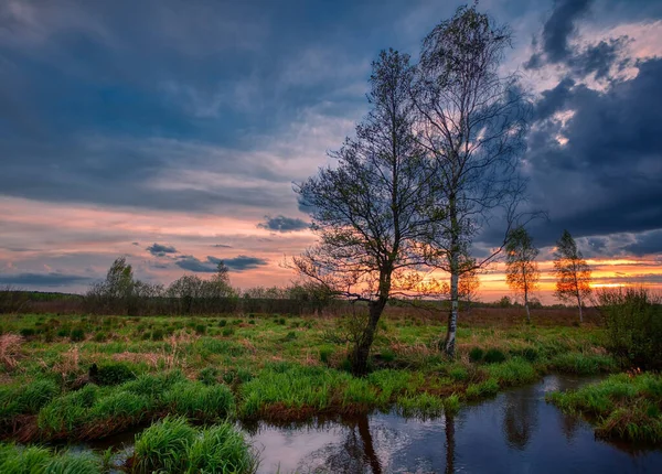 Summer Sunset Field Small River — Stock Photo, Image