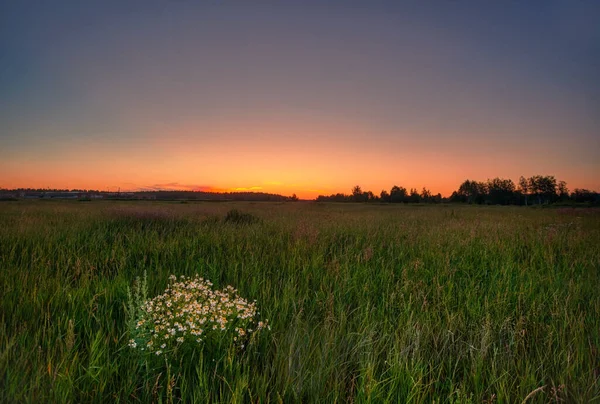 夏のフィールドでカラフルな夕日と風景 — ストック写真