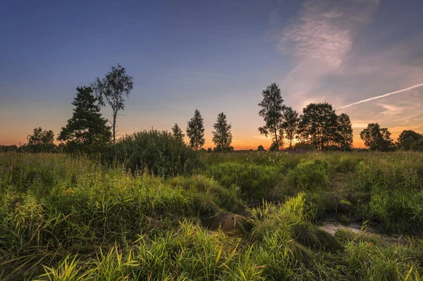 Landschaft Mit Buntem Sonnenuntergang Sommerfeld — Stockfoto