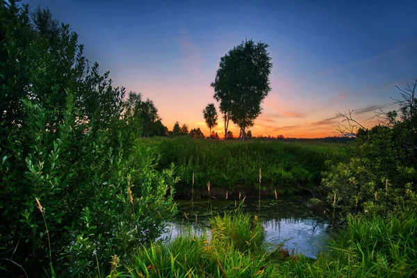 Zomer Zonsondergang Rond Het Veld Met Kleine Rivier — Stockfoto