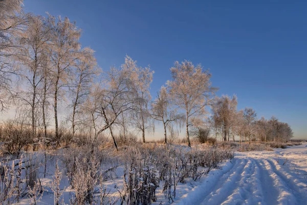 Paisaje Invierno Con Campo Las Luces Del Atardecer — Foto de Stock