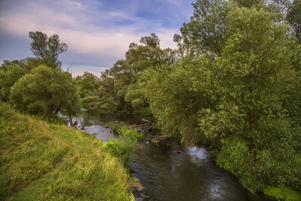 Lugn Flod Skogen Molnig Dag — Stockfoto