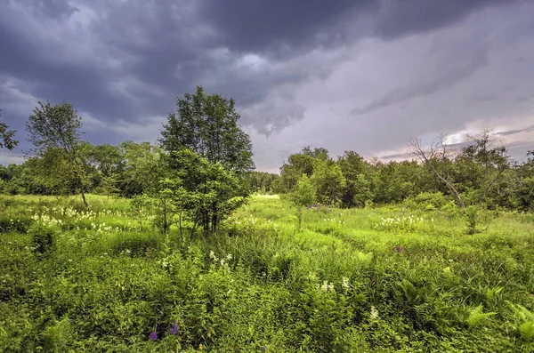 Zomer Veld Onder Bewolkte Hemel Met Wolken — Stockfoto