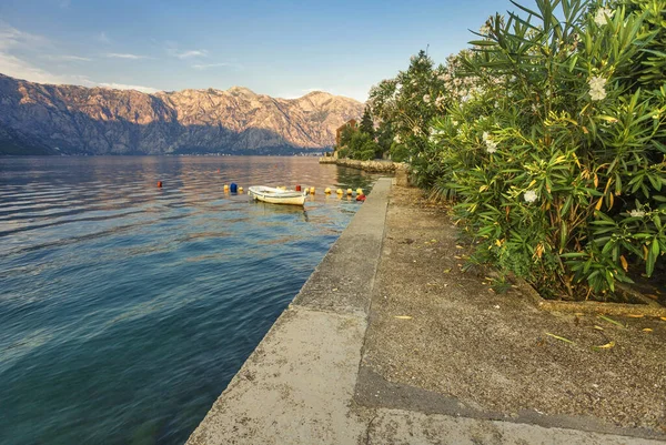 Embankment Con Vistas Las Montañas Atardecer Bahía Kotor Montenegro —  Fotos de Stock