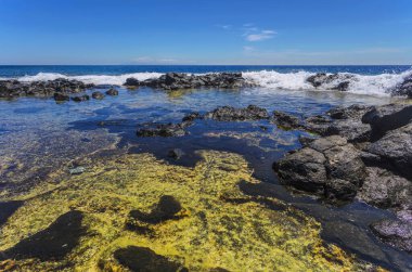 Atlantik Okyanusu kıyısında mavi gökyüzünün altında dalgalar olan vahşi taş plajlar. Tenerife adası. İspanya